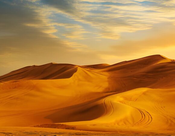 Morning Desert Safari