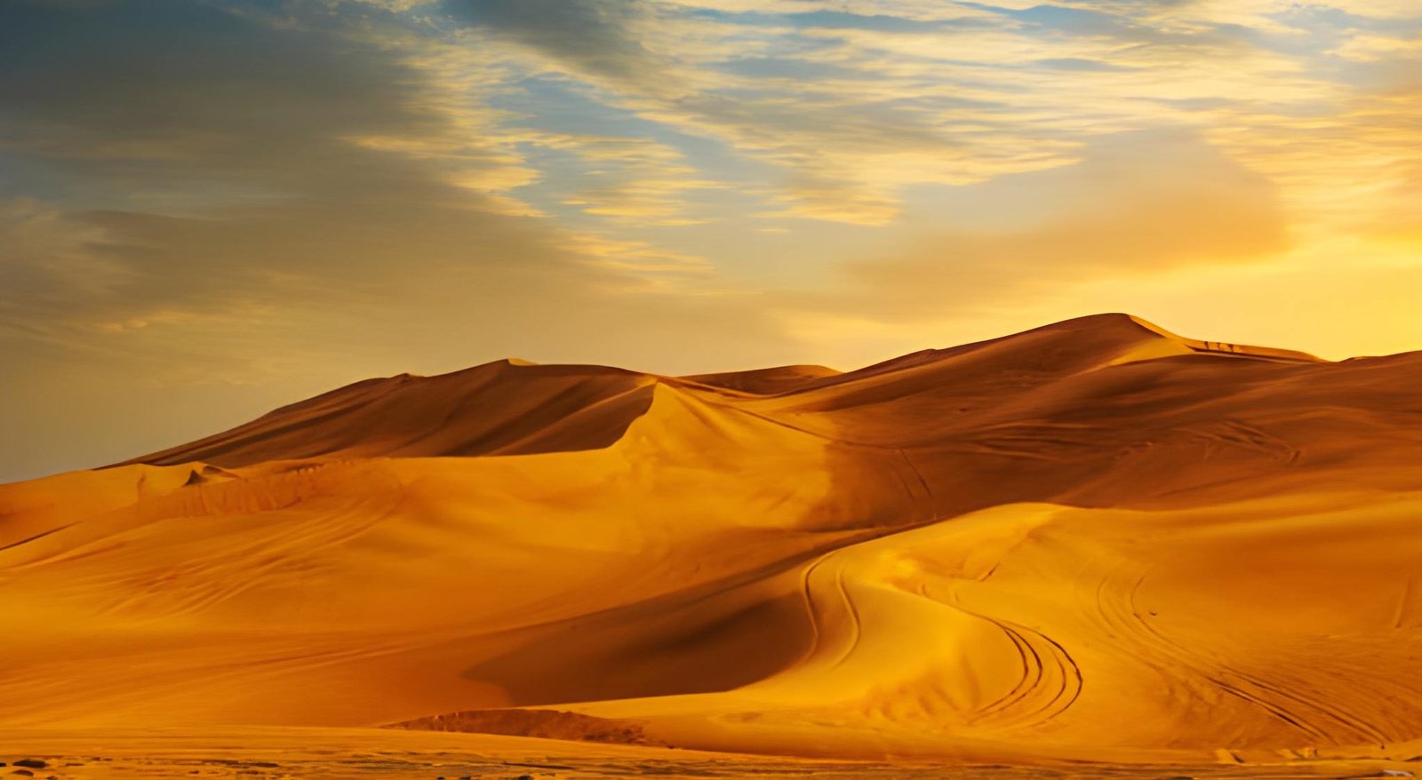 Morning Desert Safari