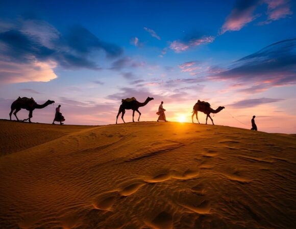 Evening Desert Safari